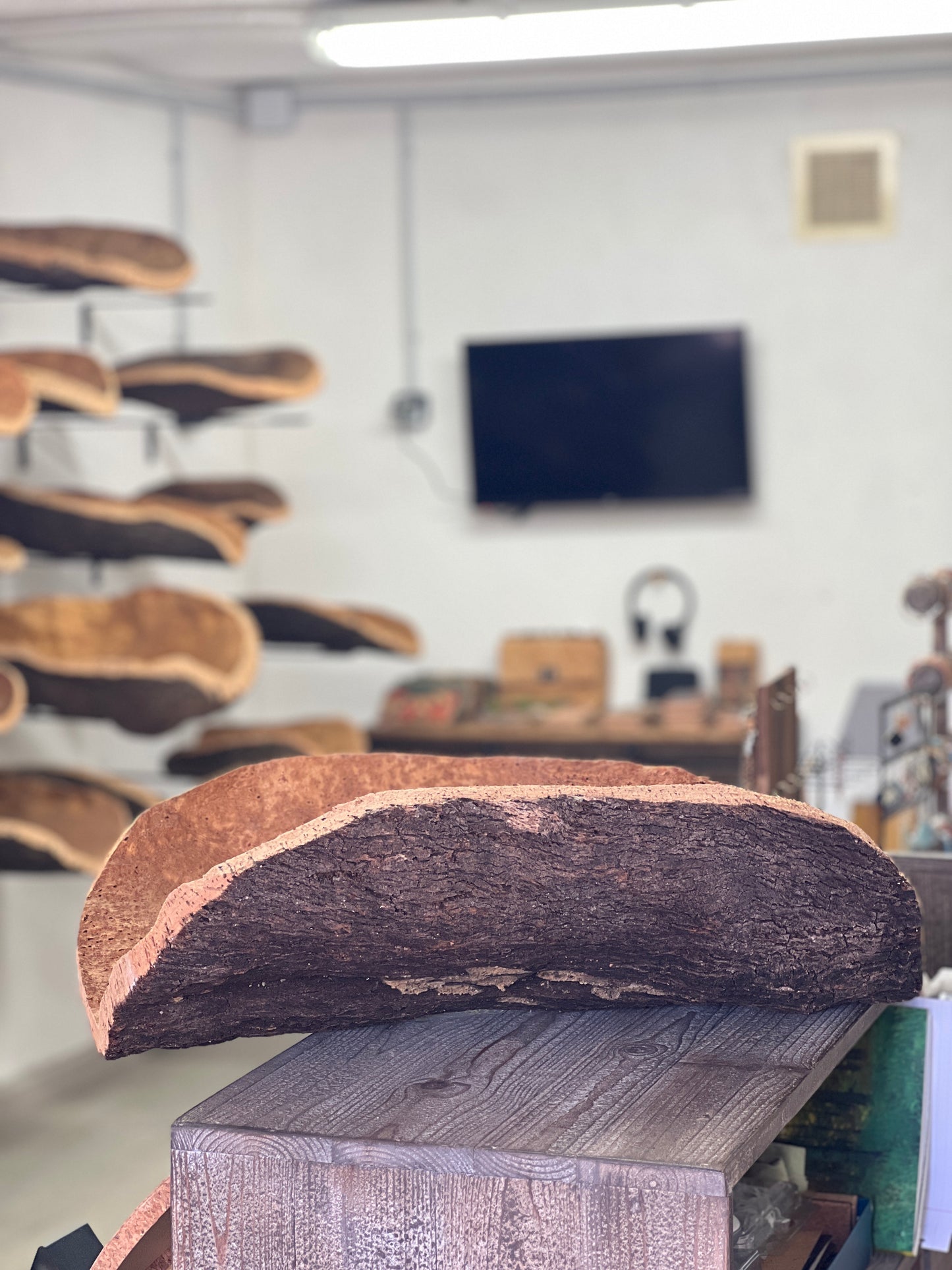 Les coupes en liège sont des objets de décoration. Fabriquées à la main en utilisant du liège prélevé localement dans les forêts corses, ces coupes sont taillées au couteau pour obtenir des formes et des textures uniques. Elles peuvent être utilisées comme des milieux de table pour contenir des fruits ou comme corbeilles pour contenir d'autres objets.