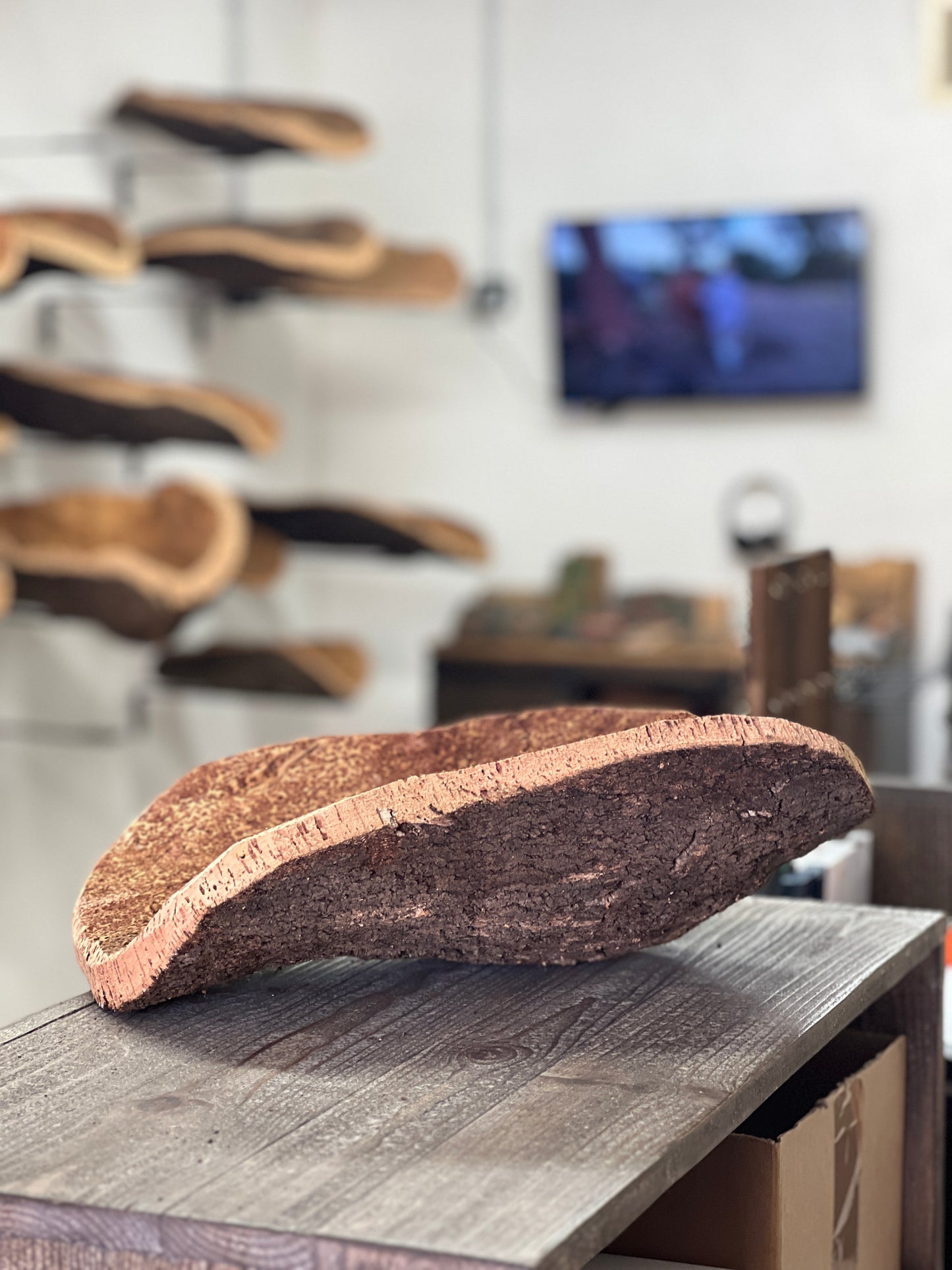 Fabriquées à la main en utilisant du liège prélevé localement dans les forêts corses, ces coupes sont taillées au couteau pour obtenir des formes et des textures uniques. Elles peuvent être utilisées comme des milieux de table pour contenir des fruits ou comme des corbeilles pour contenir d'autres objets.