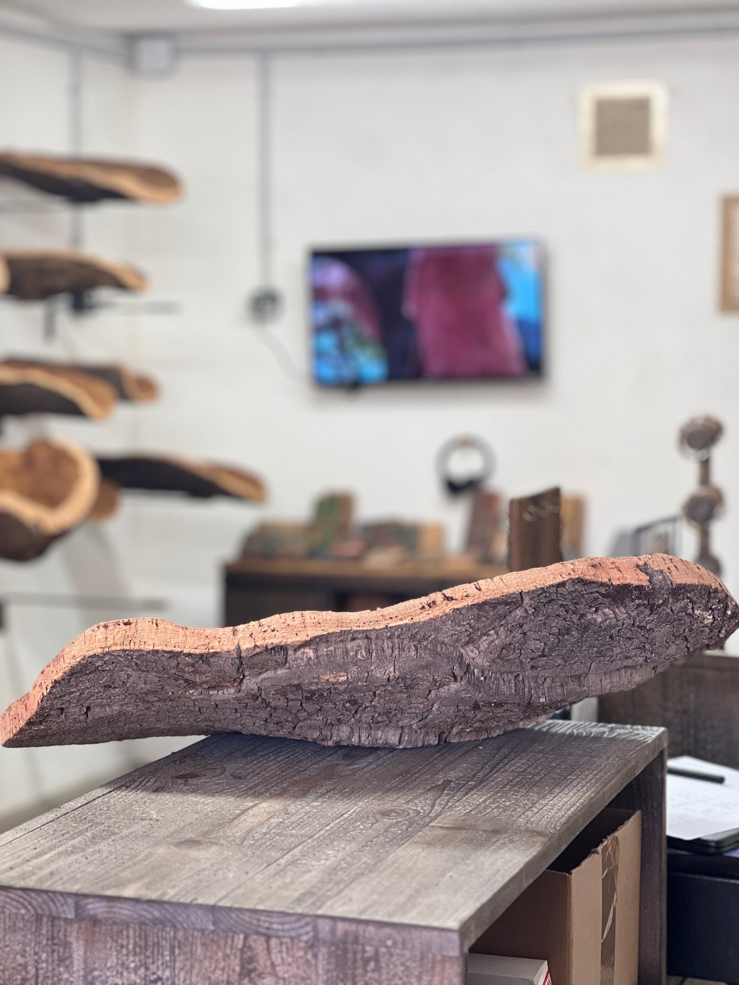 Fabriquées à la main en utilisant du liège prélevé localement dans les forêts corses, ces coupes sont taillées au couteau pour obtenir des formes et des textures uniques. Elles peuvent être utilisées comme des milieux de table pour contenir des fruits ou comme des corbeilles pour contenir d'autres objets.