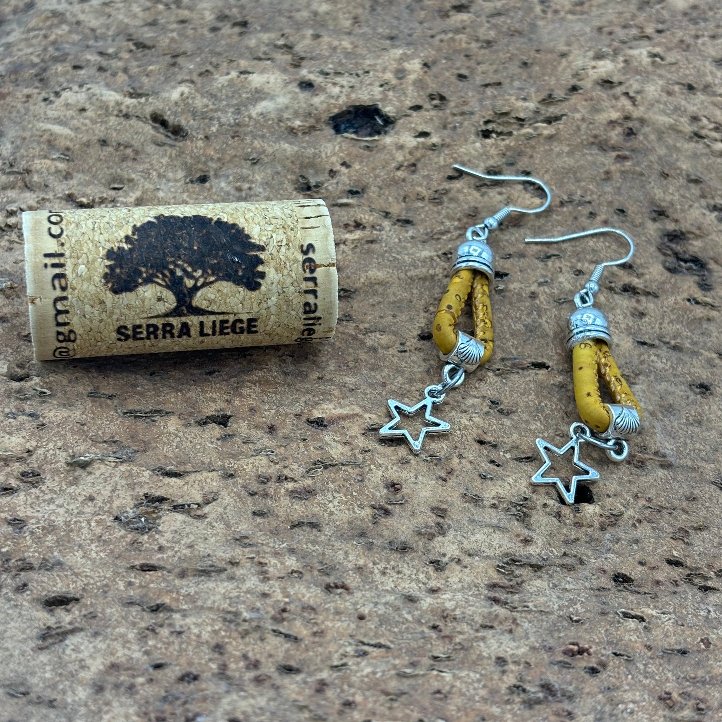 Boucles d'oreilles étoile