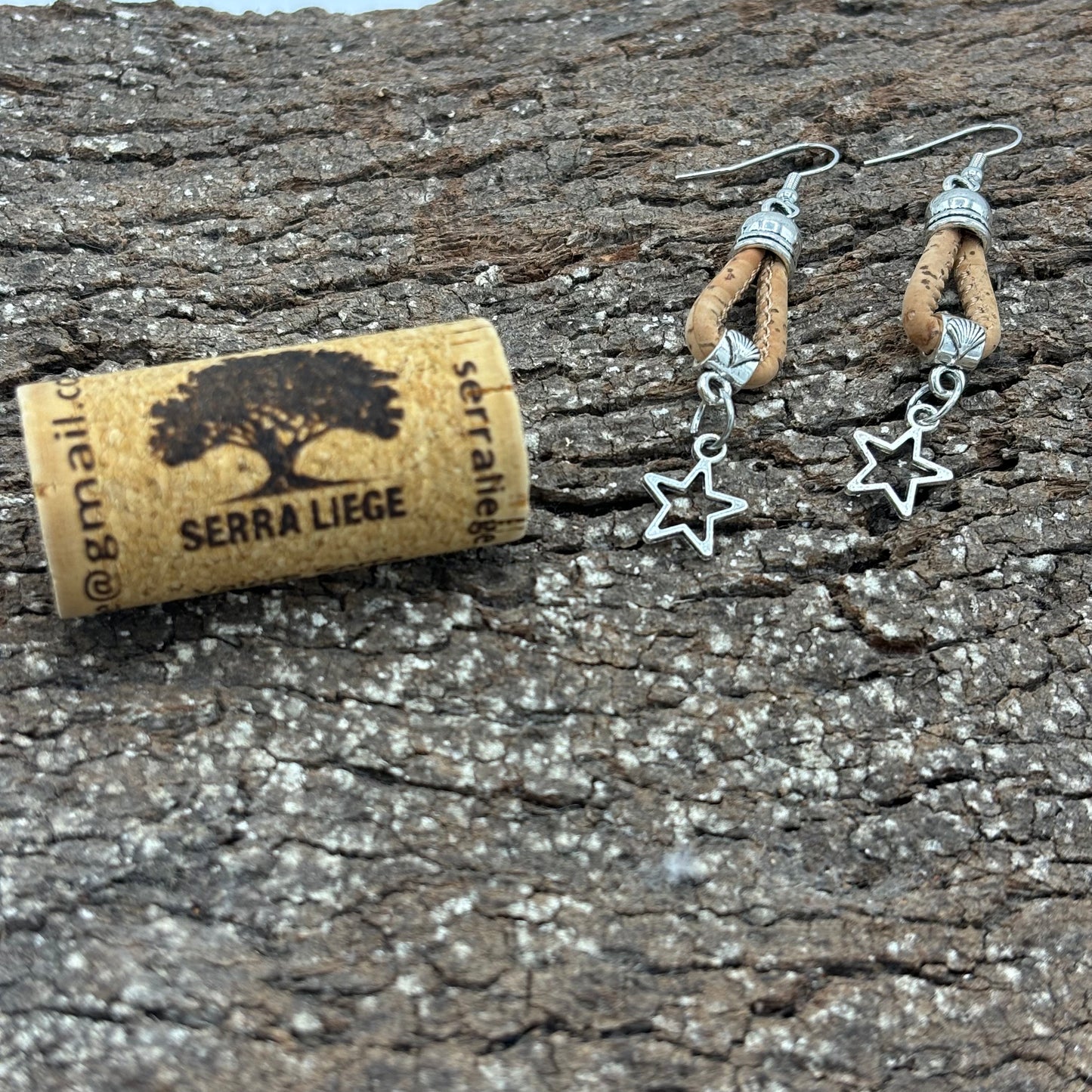 Boucles d'oreilles étoile