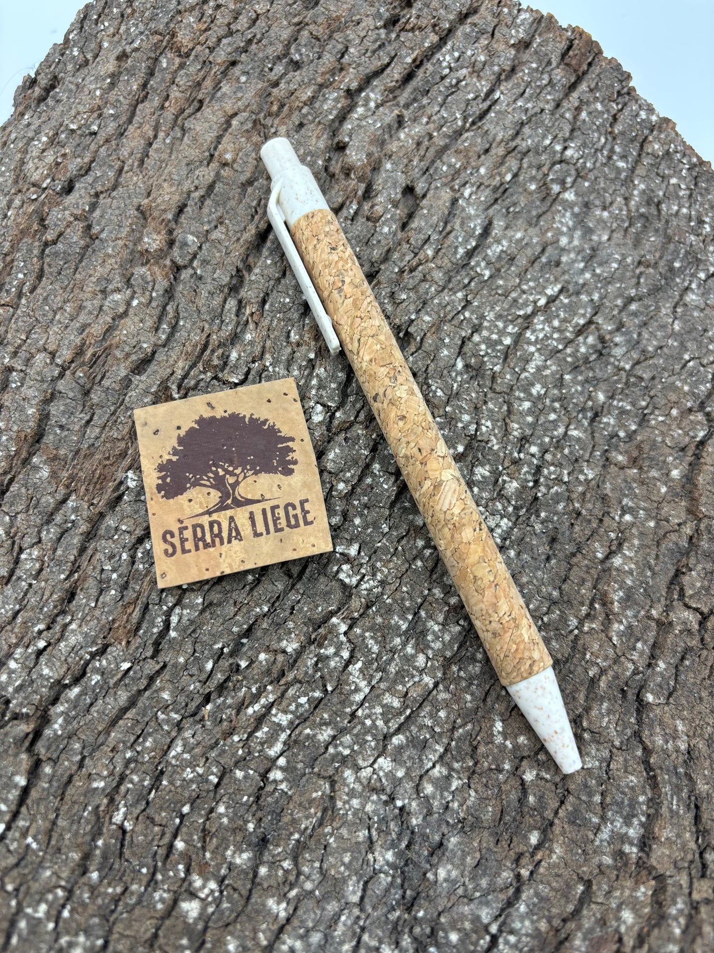 Stylos en liège