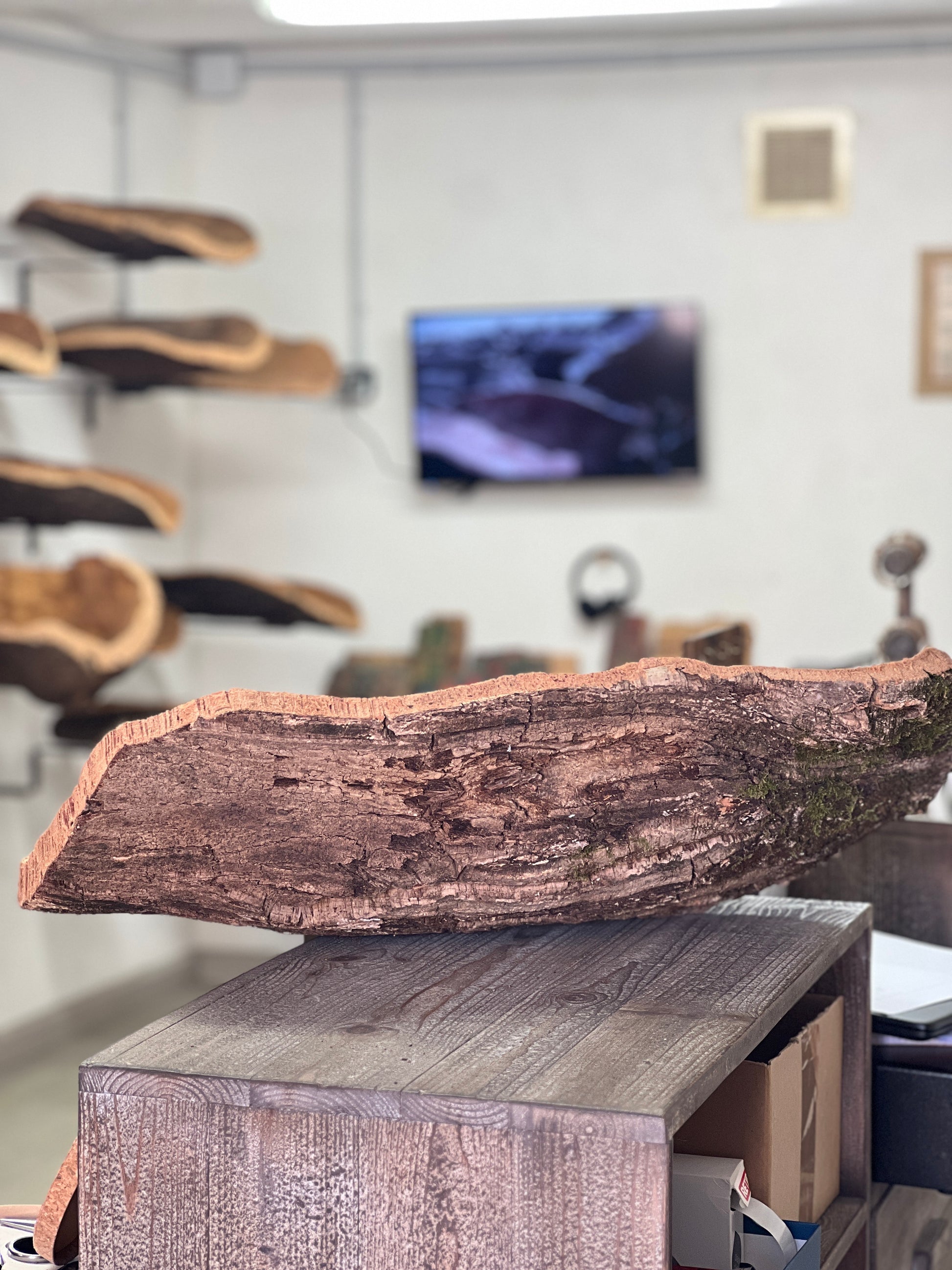  Fabriquées à la main en utilisant du liège prélevé localement dans les forêts corses, ces coupes sont taillées au couteau pour obtenir des formes et des textures uniques. Elles peuvent être utilisées comme des milieux de table pour contenir des fruits ou comme des corbeilles pour contenir d'autres objets. 