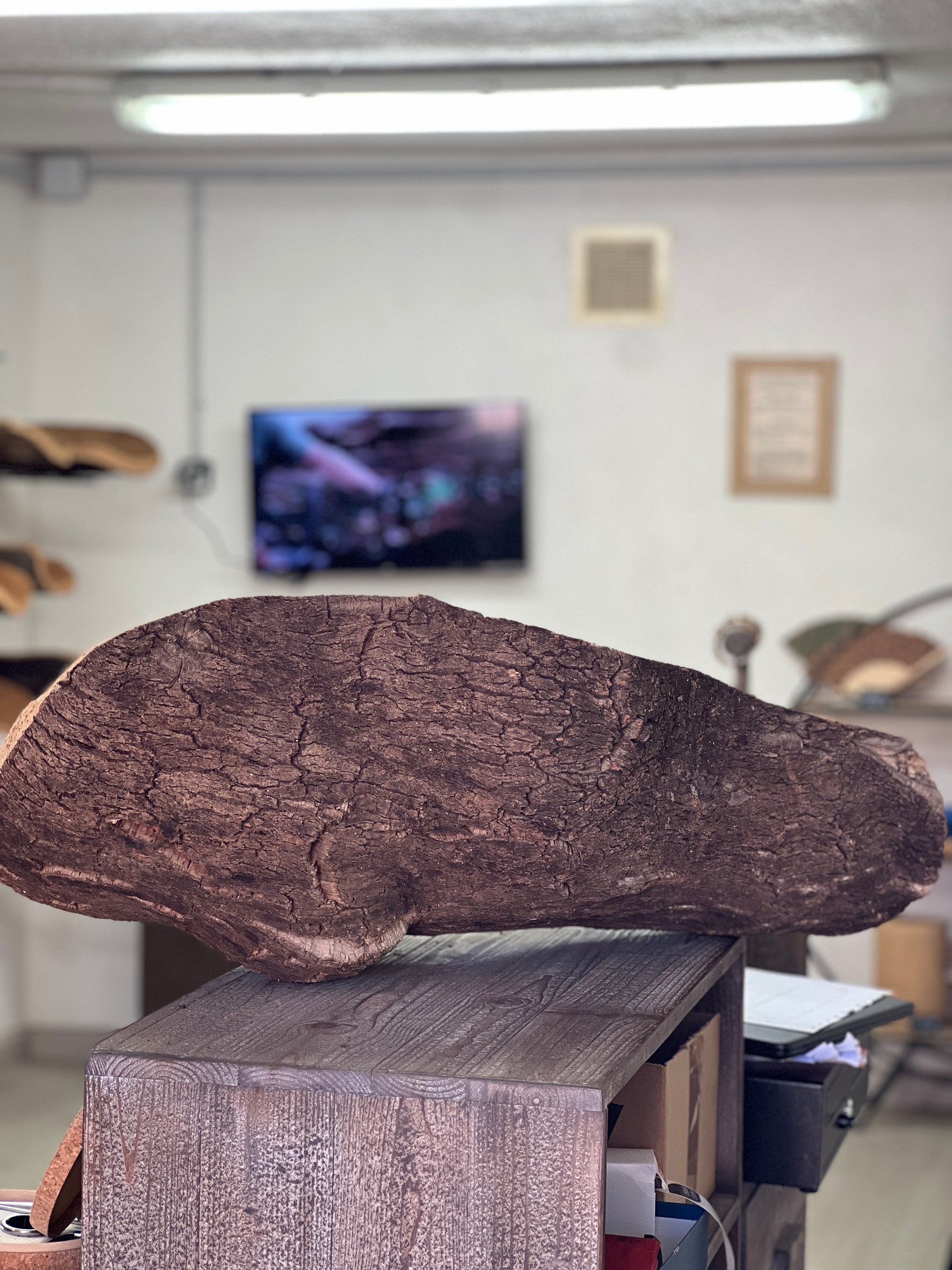 Fabriquées à la main en utilisant du liège prélevé localement dans les forêts corses, ces coupes sont taillées au couteau pour obtenir des formes et des textures uniques. Elles peuvent être utilisées comme des milieux de table pour contenir des fruits ou comme des corbeilles pour contenir d'autres objets.