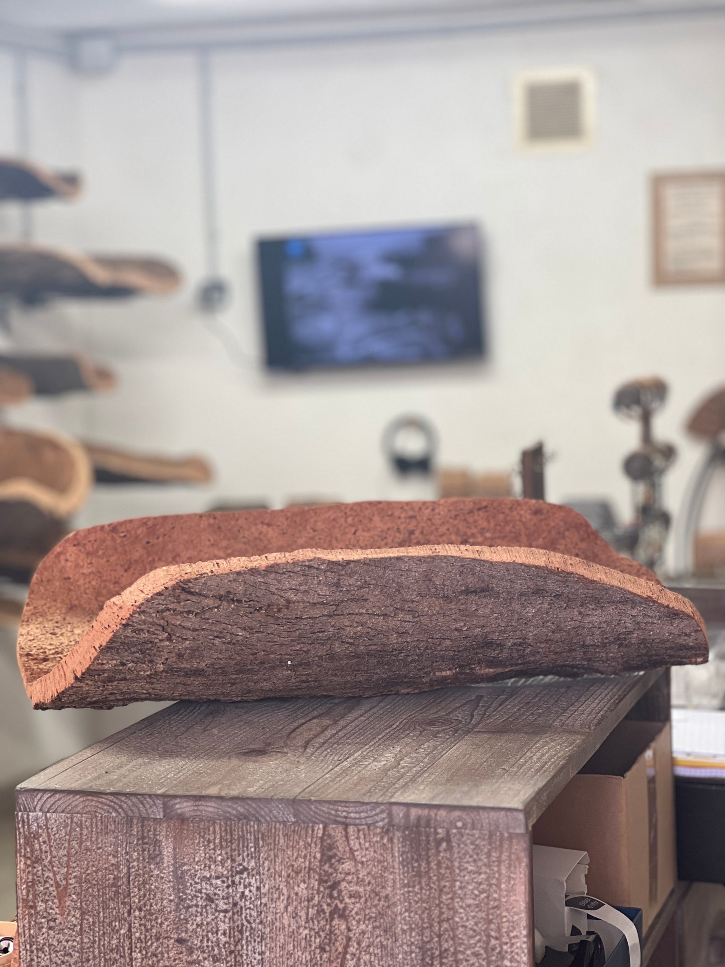 Les coupes en liège sont des objets de décoration uniques et écologiques qui ajoutent une touche naturelle à n'importe quelle table. Fabriquées à la main en utilisant du liège prélevé localement dans les forêts corses, ces coupes sont taillées au couteau pour obtenir des formes et des textures uniques.